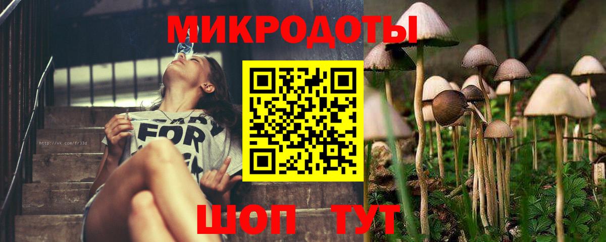 Галлюциногенные грибы Magic Shrooms  цена   Галлюциногенные грибы Psilocybe  Чебаркуль  Вход с VPN 